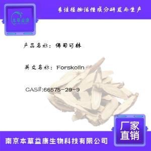 碳酸锂,554-13-2